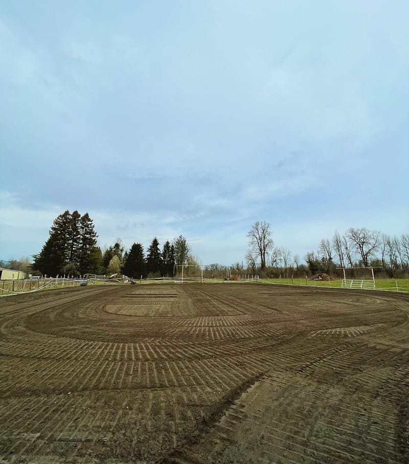 Processed with VSCO with m3 preset