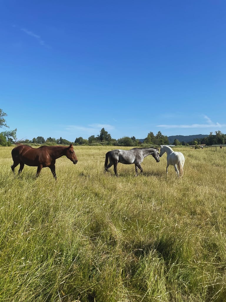 Processed with VSCO with m3 preset