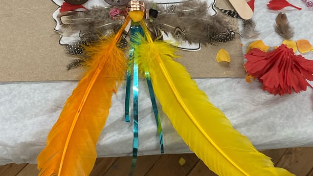 butterfly-assemblage