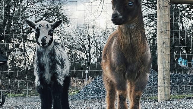 Processed with VSCO with hb2 preset