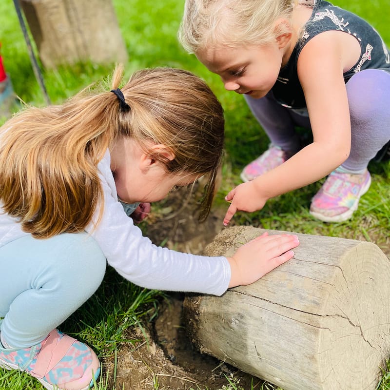 The Marylhurst School