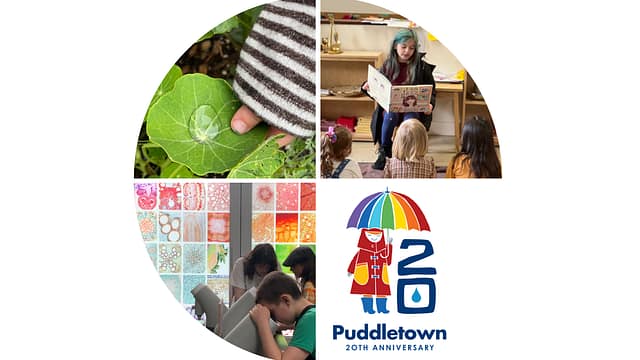 Screenshot-2025-07-15-at-6.38.15 PM