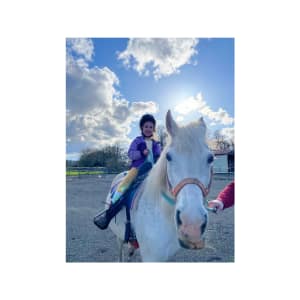 Sauvie Island Stables